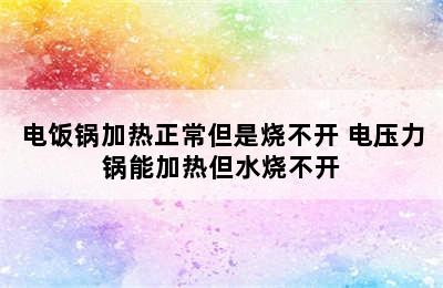 电饭锅加热正常但是烧不开 电压力锅能加热但水烧不开